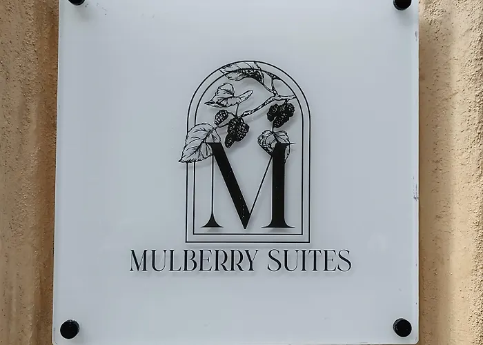 Mulberry Hotel *
